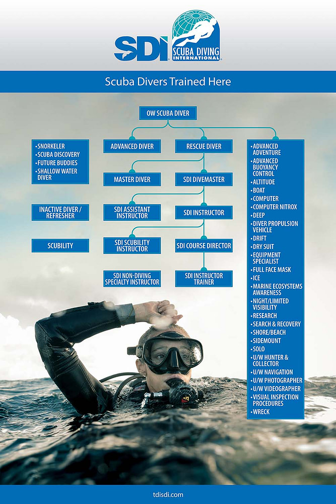 All SDI courses. Recreational scuba diving Frogman Diving