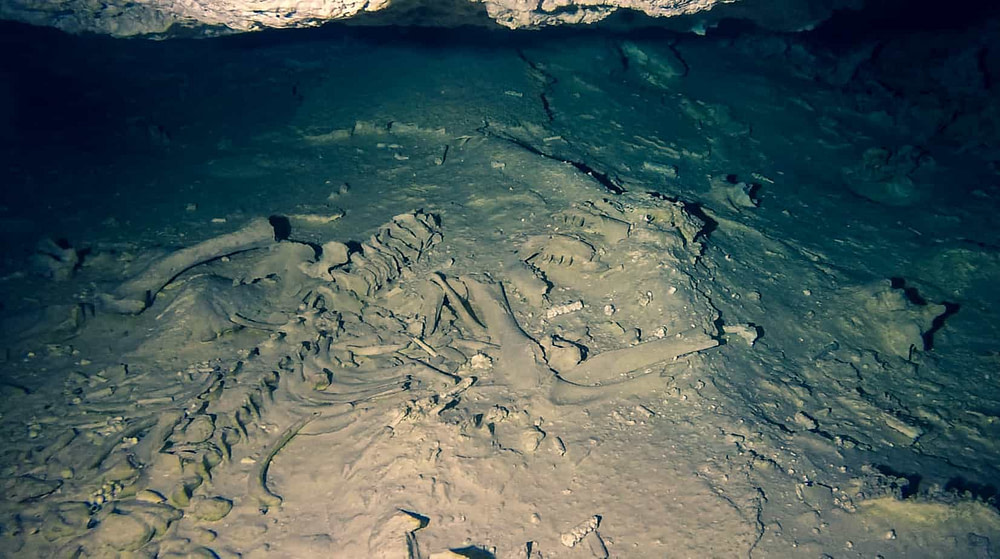 Cenotes, entrance to the Mayan underworld and vast cave system