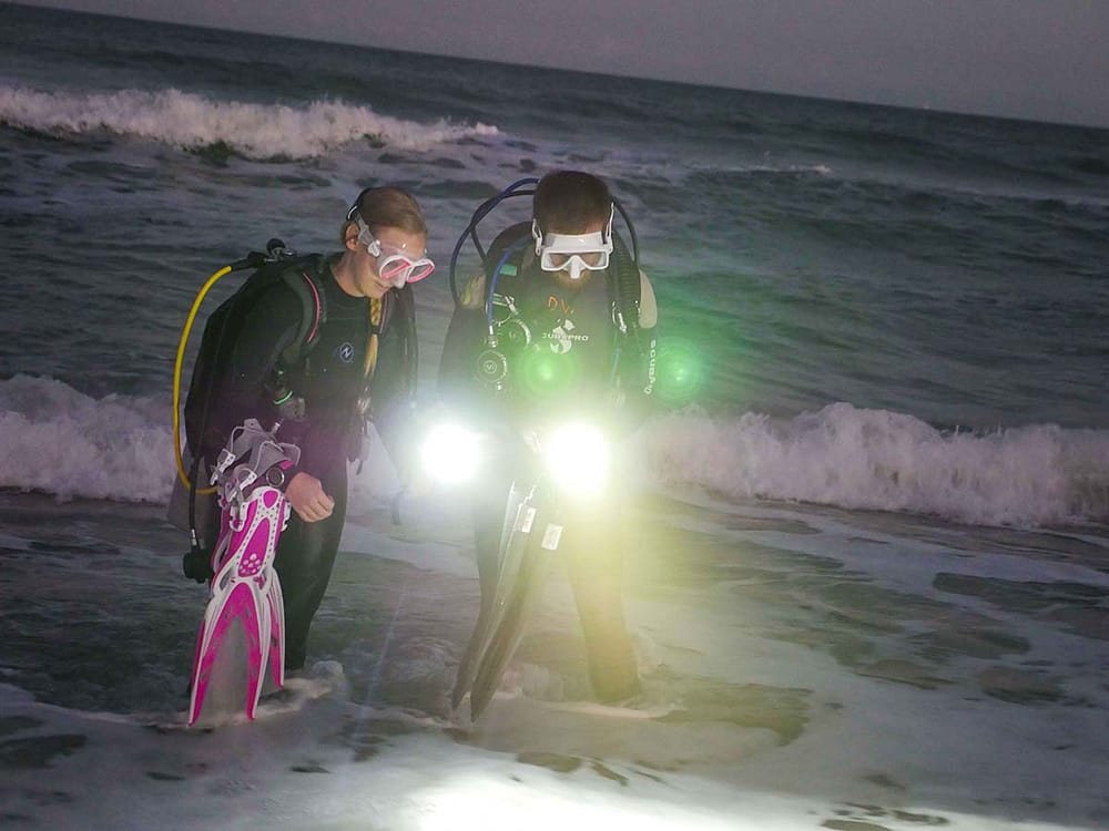 SDI Master Divers with Flashlights SDI Master Divers with Flashlights