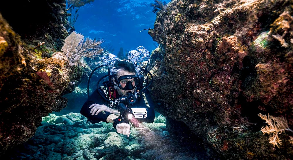 SDI Master Diver with Flashlight Surrounded by Coral