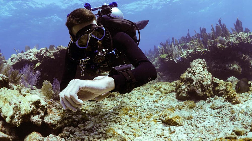 TDI Nitrox Diver Checking Computer
