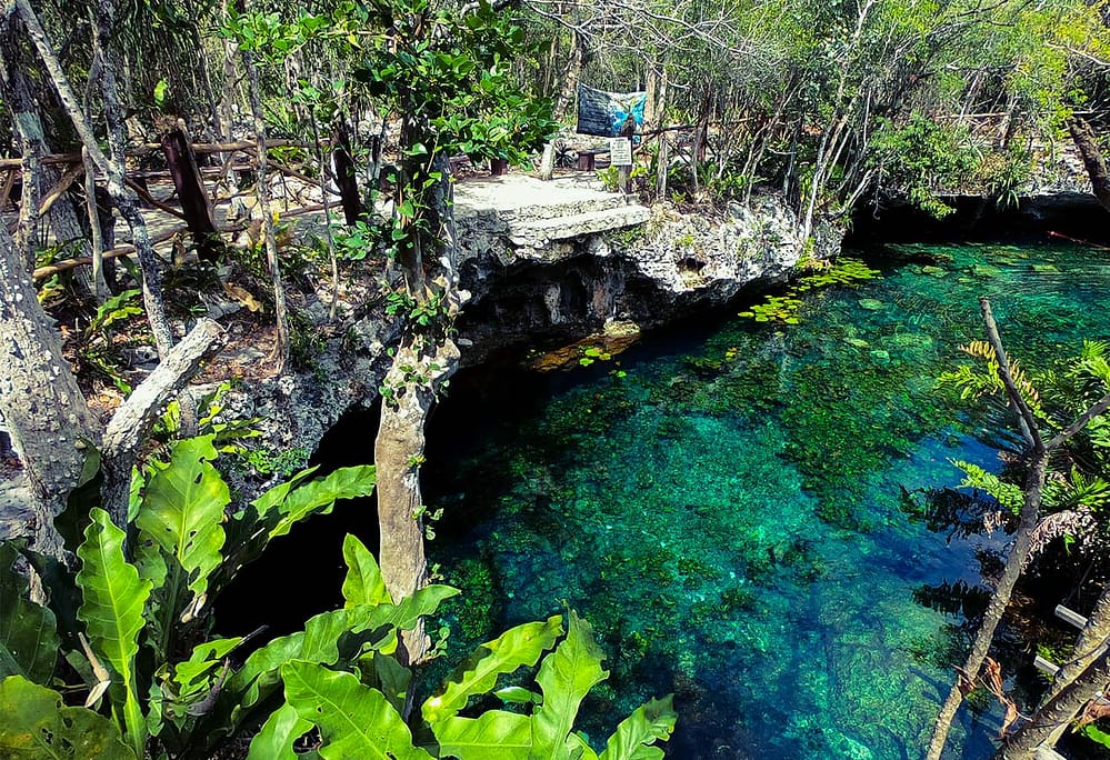 No TrenMaya Cenotes in danger, Nicte-Ha will disappear