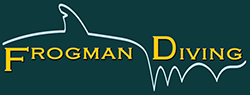 frogman diving logo-web small