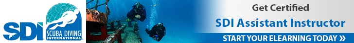 SDI Assistant Instructor