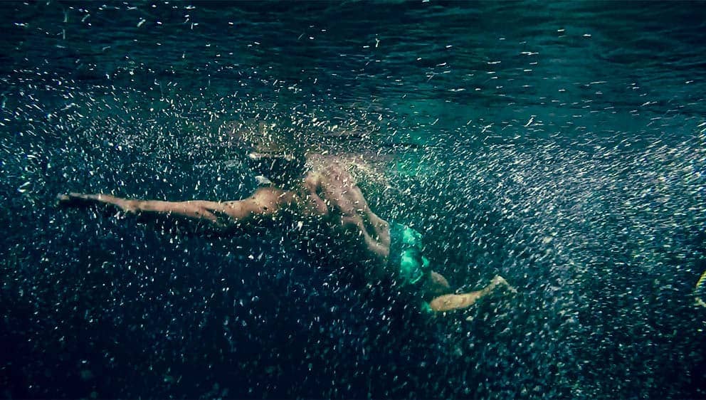 swimmer in cenote kin ha