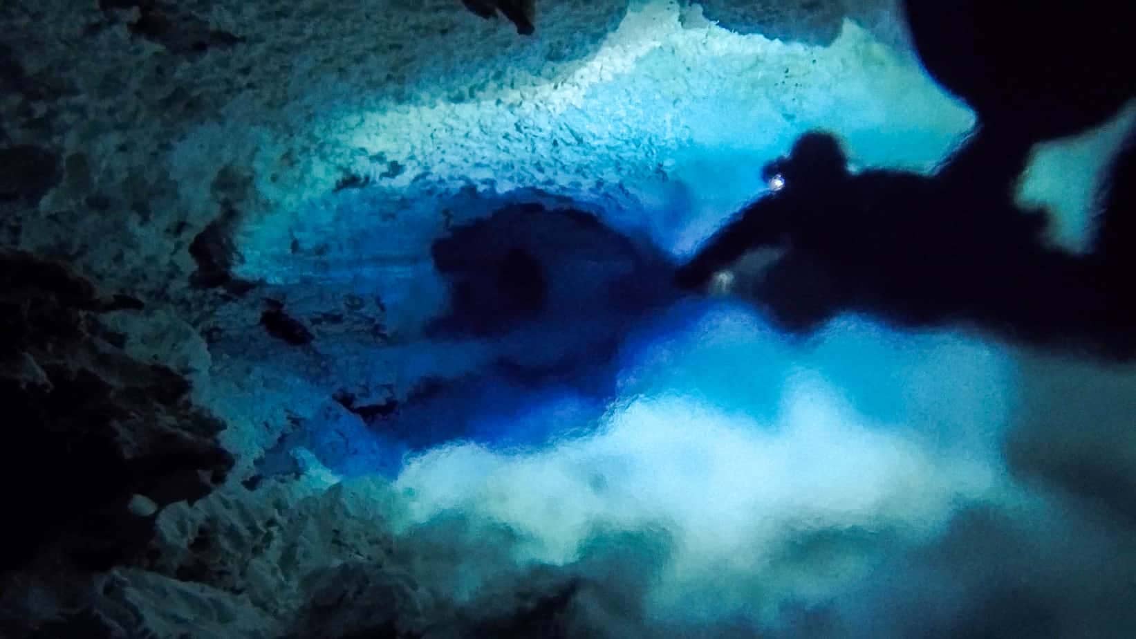 Halocline halocline tajma ha