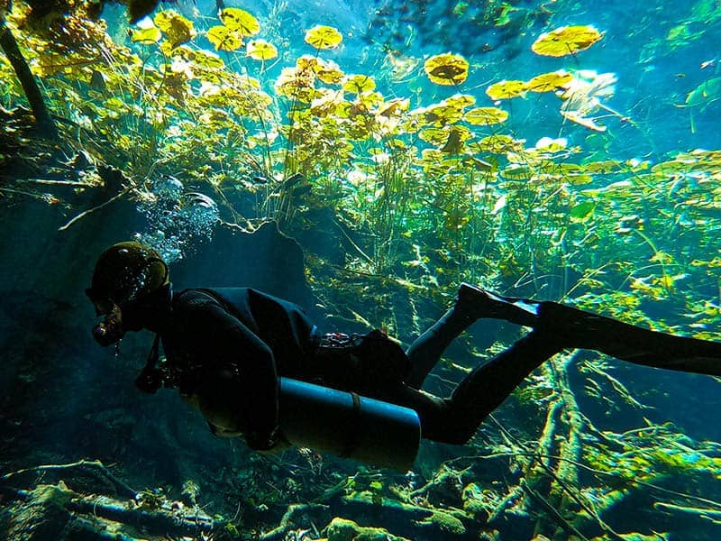 SDI Open Water Scuba Divers Exploring Ocean SDI Open Water Scuba Divers Exploring Ocean